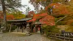 鍬山神社(京都府)