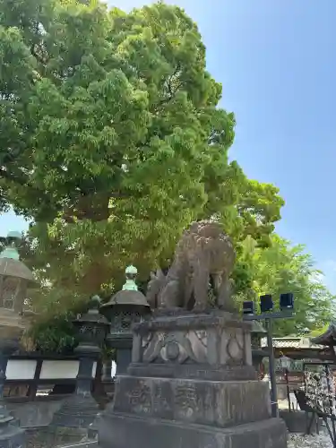 上野東照宮の{uncategorized: "未分類", other: "その他", undefined: "問題あり", building: "その他建物", grave: "お墓", sacred_gate: "鳥居", guardian: "狛犬", statue: "像", buddha: "仏像", history: "歴史", nature: "自然", garden: "庭園", animal: "動物", pagoda: "塔", temizu: "手水舎", mountain_gate: "山門・神門", sanctuary: "本殿・本堂", subordinate: "末社・摂社", art: "芸術", scenery: "景色", jizo: "地蔵", ema: "絵馬", goshuin: "御朱印", omikuji: "おみくじ", items: "授与品その他", amulet: "お守り", goshuincho: "御朱印帳", eats: "食事", festival: "お祭り", votive_dance: "神楽", shichigosan: "七五三参", wedding: "結婚式", experience: "体験その他", initially: "初詣", around: "周辺", anti_infection: "感染症対策"}