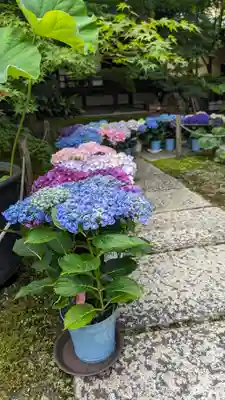 勝林寺(京都府)