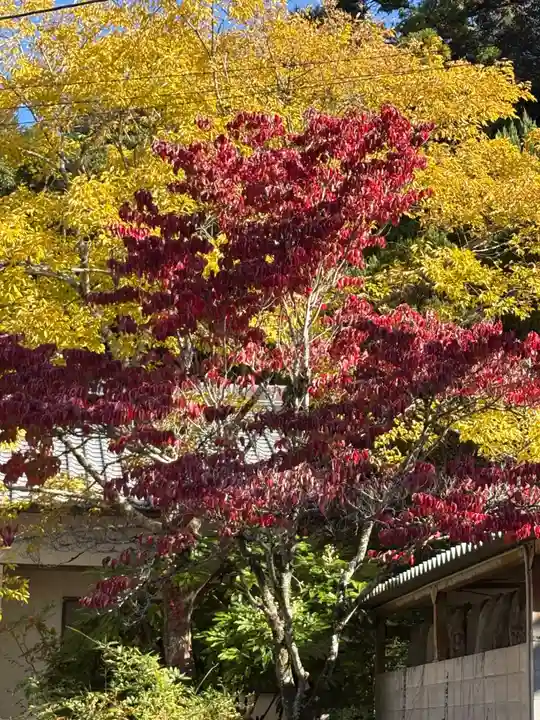 東昌寺(愛知県)
