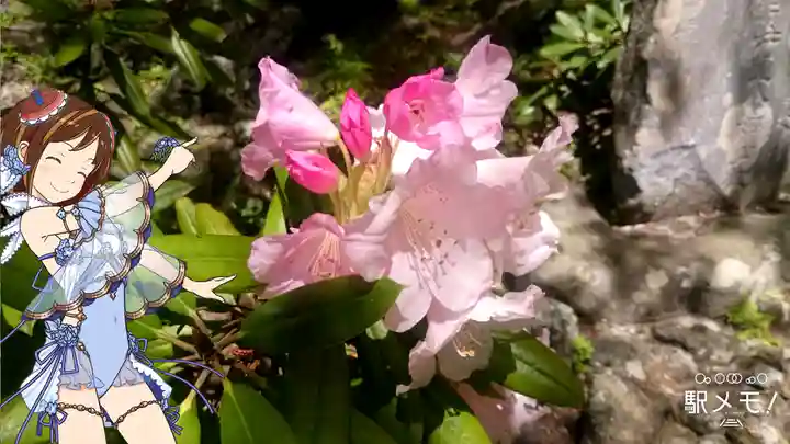 建長寺 半僧坊の自然