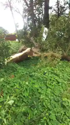 酒門神社のその他建物