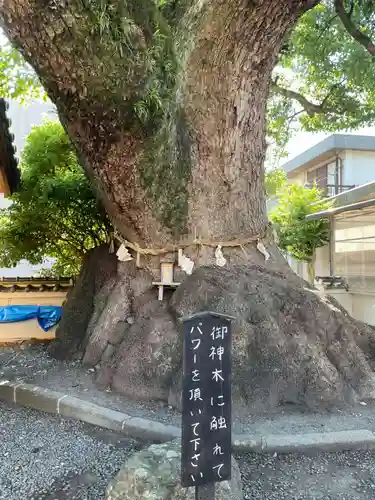 大神社(和歌山県)