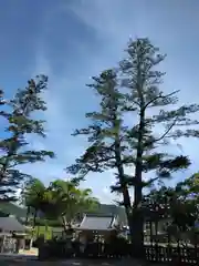 上田八幡神社(兵庫県)