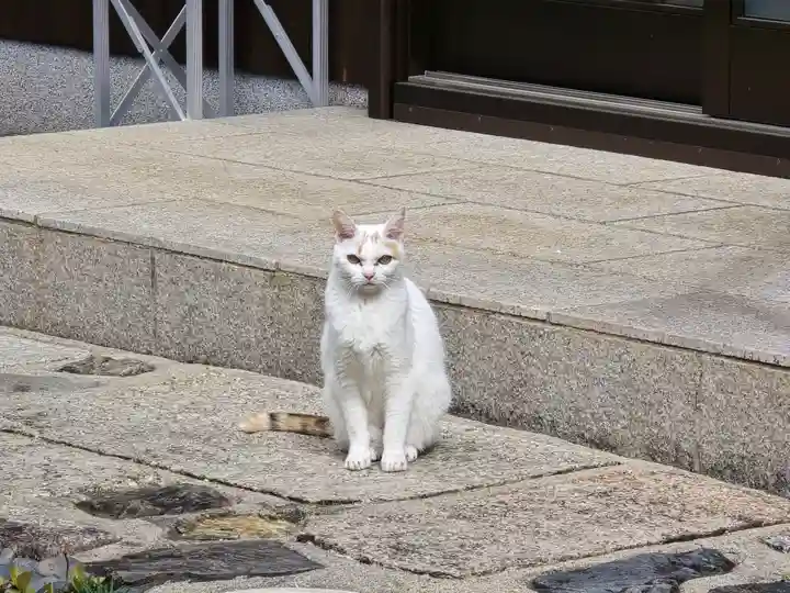 福寿院(京都府)