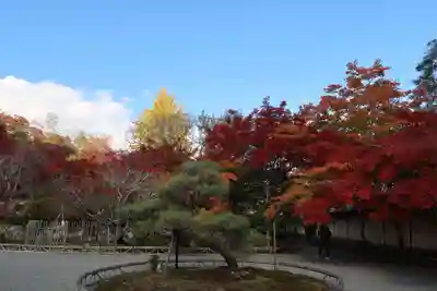 二尊院(京都府)