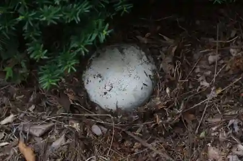 鹿島大神宮の自然