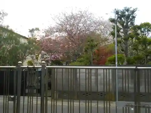 極楽寺（霊鷲山感應院極楽律寺）の周辺