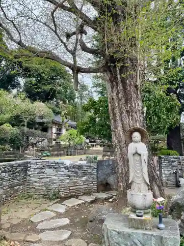 東光寺の{uncategorized: "未分類", other: "その他", undefined: "問題あり", building: "その他建物", grave: "お墓", sacred_gate: "鳥居", guardian: "狛犬", statue: "像", buddha: "仏像", history: "歴史", nature: "自然", garden: "庭園", animal: "動物", pagoda: "塔", temizu: "手水舎", mountain_gate: "山門・神門", sanctuary: "本殿・本堂", subordinate: "末社・摂社", art: "芸術", scenery: "景色", jizo: "地蔵", ema: "絵馬", goshuin: "御朱印", omikuji: "おみくじ", items: "授与品その他", amulet: "お守り", goshuincho: "御朱印帳", eats: "食事", festival: "お祭り", votive_dance: "神楽", shichigosan: "七五三参", wedding: "結婚式", experience: "体験その他", initially: "初詣", around: "周辺", anti_infection: "感染症対策"}