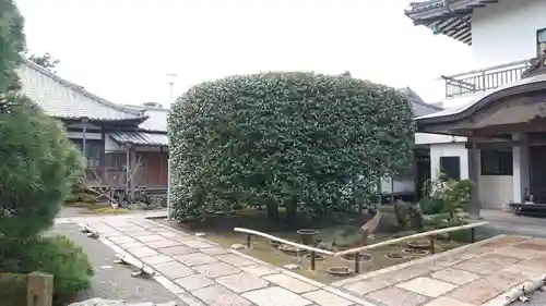 徳源寺のその他建物