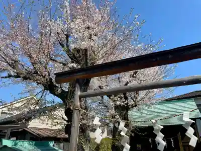 御嶽神社の{uncategorized: "未分類", other: "その他", undefined: "問題あり", building: "その他建物", grave: "お墓", sacred_gate: "鳥居", guardian: "狛犬", statue: "像", buddha: "仏像", history: "歴史", nature: "自然", garden: "庭園", animal: "動物", pagoda: "塔", temizu: "手水舎", mountain_gate: "山門・神門", sanctuary: "本殿・本堂", subordinate: "末社・摂社", art: "芸術", scenery: "景色", jizo: "地蔵", ema: "絵馬", goshuin: "御朱印", omikuji: "おみくじ", items: "授与品その他", amulet: "お守り", goshuincho: "御朱印帳", eats: "食事", festival: "お祭り", votive_dance: "神楽", shichigosan: "七五三参", wedding: "結婚式", experience: "体験その他", initially: "初詣", around: "周辺", anti_infection: "感染症対策"}