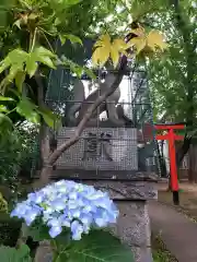 羽根木神社の建物その他