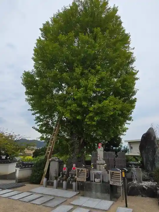 甘露寺(和歌山県)