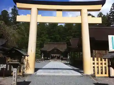 小國神社の鳥居