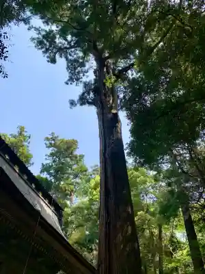 鹿島神宮(茨城県)