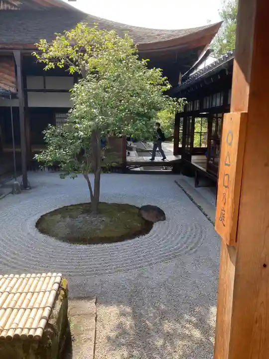 建仁寺(建仁禅寺)の庭園