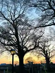 白鳥神社(長野県)