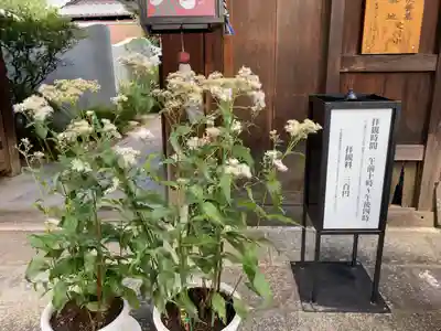 尊陽院(京都府)