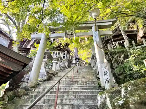 太郎坊宮阿賀神社の鳥居