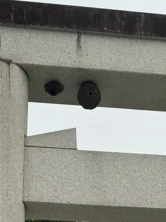 諏訪大社(長野県)