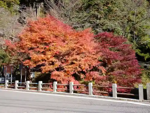 地蔵の景色