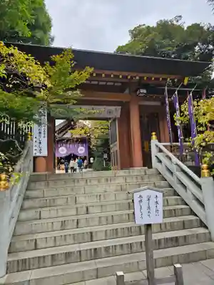 東京大神宮(東京都)