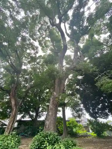 木下神社(京都府)
