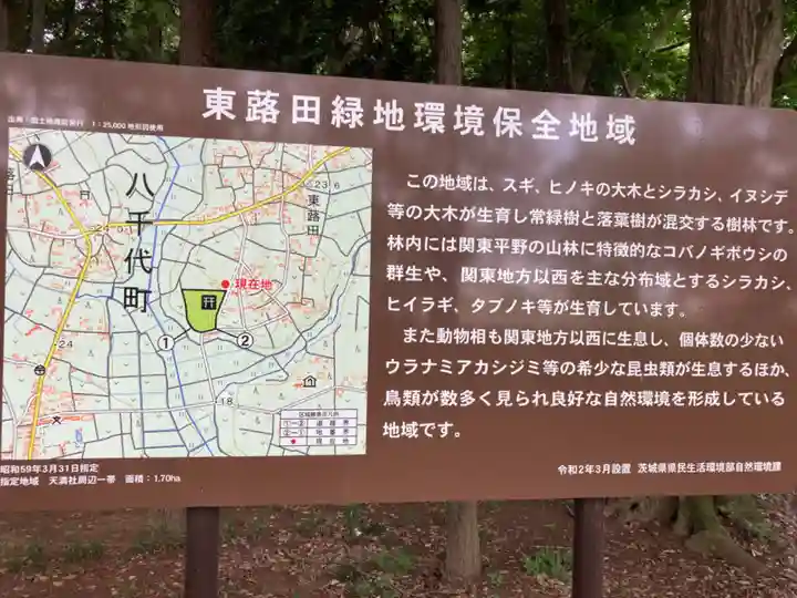 東蕗田天満社(茨城県)