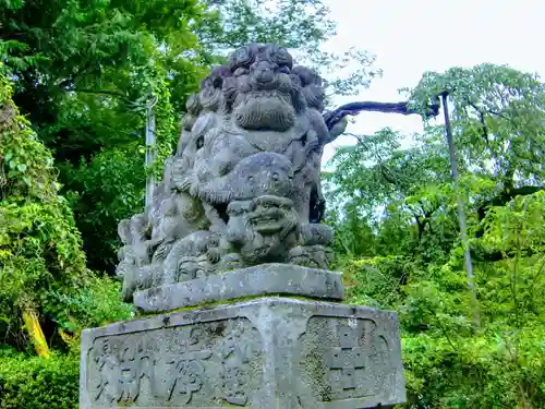 乃木神社の狛犬