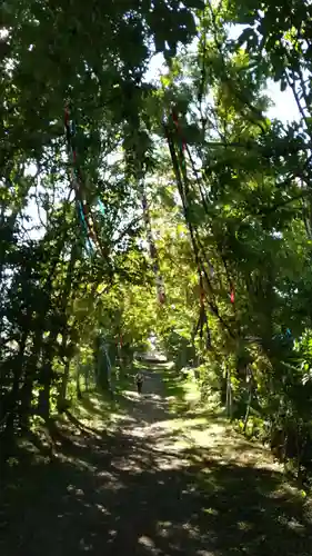 釧路一之宮 厳島神社の自然