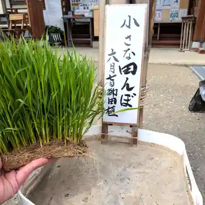 七重浜海津見神社(北海道)