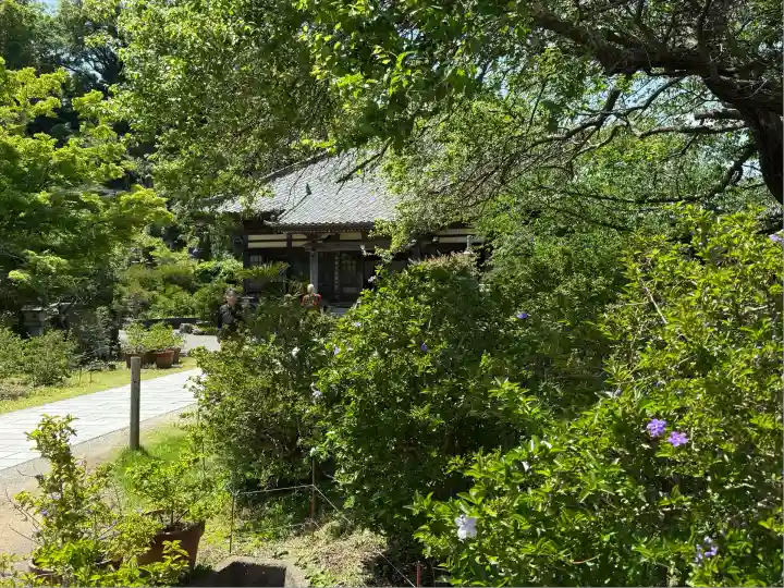 了仙寺(静岡県)