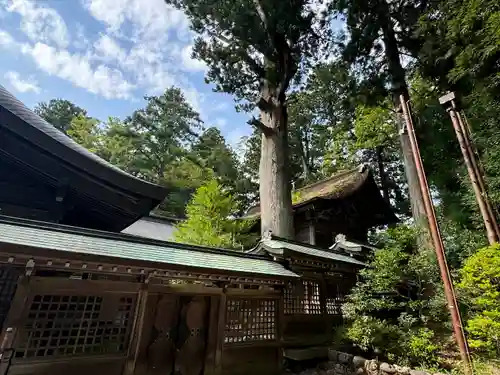 雄山神社前立社壇の本殿