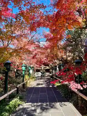 迎接院(東京都)