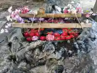 駒形神社の{uncategorized: "未分類", other: "その他", undefined: "問題あり", building: "その他建物", grave: "お墓", sacred_gate: "鳥居", guardian: "狛犬", statue: "像", buddha: "仏像", history: "歴史", nature: "自然", garden: "庭園", animal: "動物", pagoda: "塔", temizu: "手水舎", mountain_gate: "山門・神門", sanctuary: "本殿・本堂", subordinate: "末社・摂社", art: "芸術", scenery: "景色", jizo: "地蔵", ema: "絵馬", goshuin: "御朱印", omikuji: "おみくじ", items: "授与品その他", amulet: "お守り", goshuincho: "御朱印帳", eats: "食事", festival: "お祭り", votive_dance: "神楽", shichigosan: "七五三参", wedding: "結婚式", experience: "体験その他", initially: "初詣", around: "周辺", anti_infection: "感染症対策"}