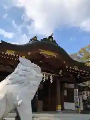 伊和志津神社の狛犬