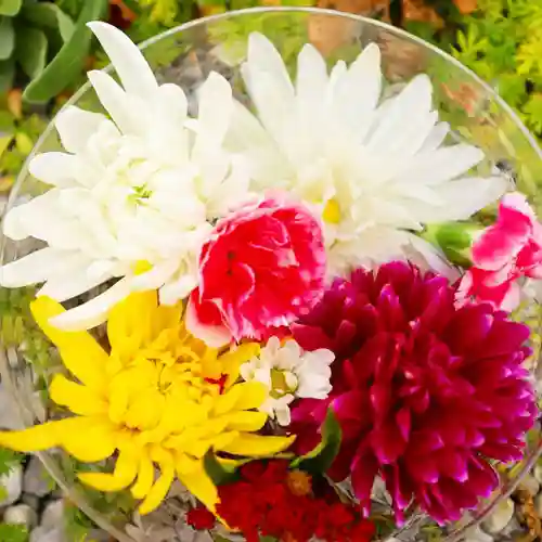 埼玉厄除け開運大師・龍泉寺（切り絵御朱印発祥の寺）の自然