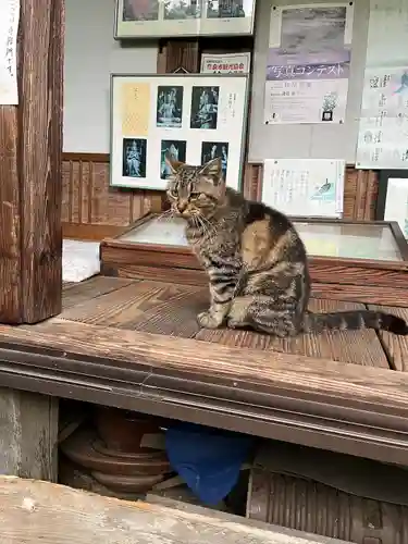 不退寺(奈良県)