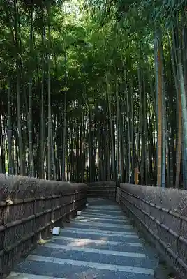化野念仏寺(京都府)