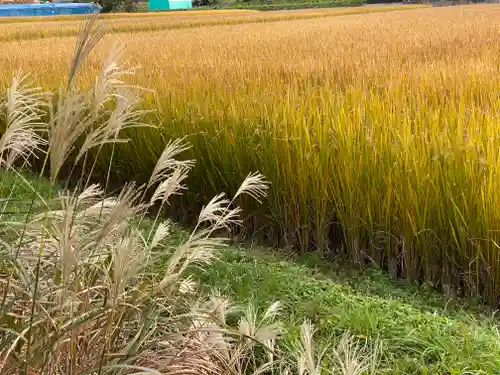 桂谷寺(兵庫県)