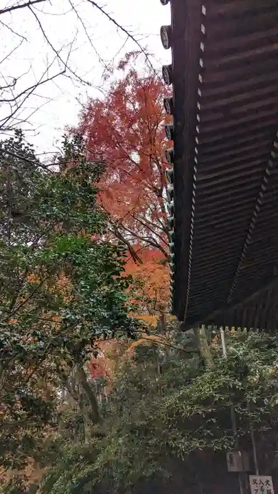 観音寺(山崎聖天)(京都府)