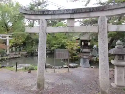 長浜八幡宮の鳥居