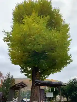 浅岸薬師神社のその他建物