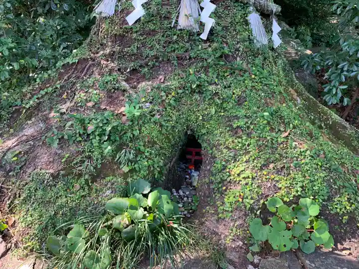 立磐神社の自然