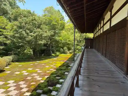 東福禅寺（東福寺）(京都府)