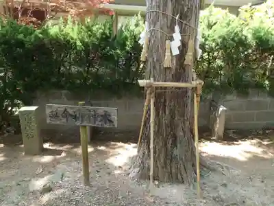 賀志波比売神社のその他建物