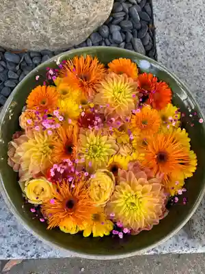 彌都加伎神社の手水舎