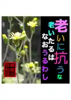 耕田院(山形県)