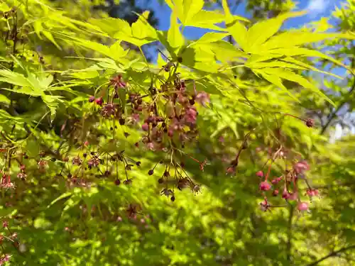 天台宗 五大山 白毫寺(兵庫県)