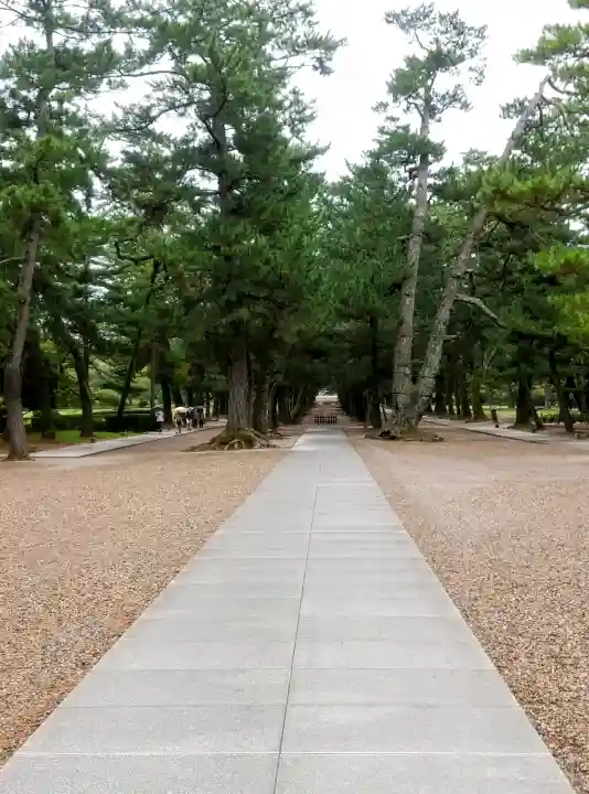 出雲大社の{uncategorized: "未分類", other: "その他", undefined: "問題あり", building: "その他建物", grave: "お墓", sacred_gate: "鳥居", guardian: "狛犬", statue: "像", buddha: "仏像", history: "歴史", nature: "自然", garden: "庭園", animal: "動物", pagoda: "塔", temizu: "手水舎", mountain_gate: "山門・神門", sanctuary: "本殿・本堂", subordinate: "末社・摂社", art: "芸術", scenery: "景色", jizo: "地蔵", ema: "絵馬", goshuin: "御朱印", omikuji: "おみくじ", items: "授与品その他", amulet: "お守り", goshuincho: "御朱印帳", eats: "食事", festival: "お祭り", votive_dance: "神楽", shichigosan: "七五三参", wedding: "結婚式", experience: "体験その他", initially: "初詣", around: "周辺", anti_infection: "感染症対策"}